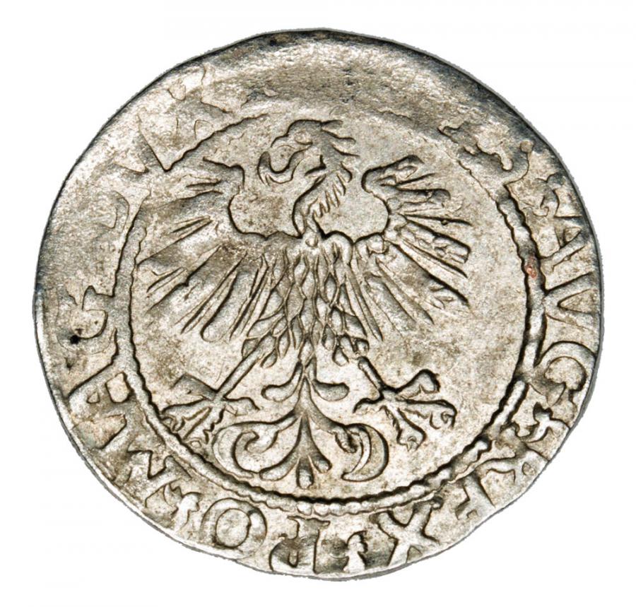 Półgrosz 1561 Zygmunt II August Litwa Wilno