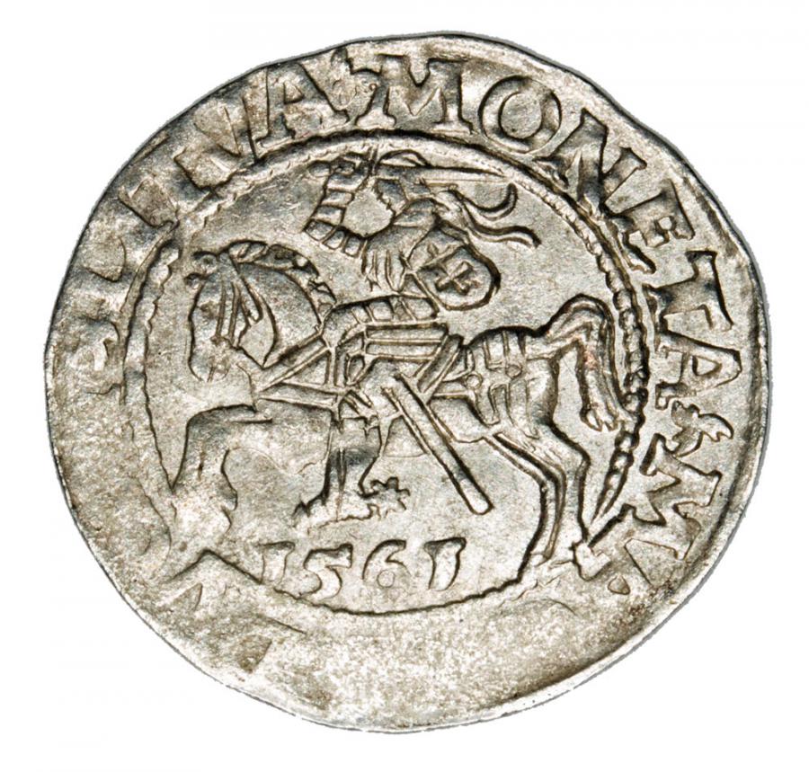 Półgrosz 1561 Zygmunt II August Litwa Wilno