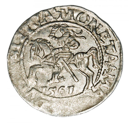 Półgrosz 1561 Zygmunt II August Litwa Wilno