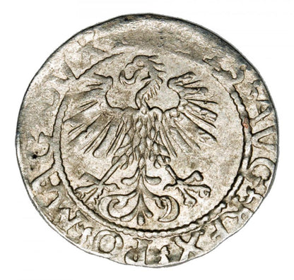 Półgrosz 1561 Zygmunt II August Litwa Wilno