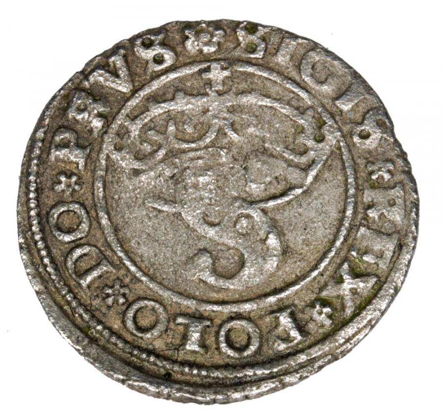 Szeląg 1529 Zygmunt I Stary Polska Toruń