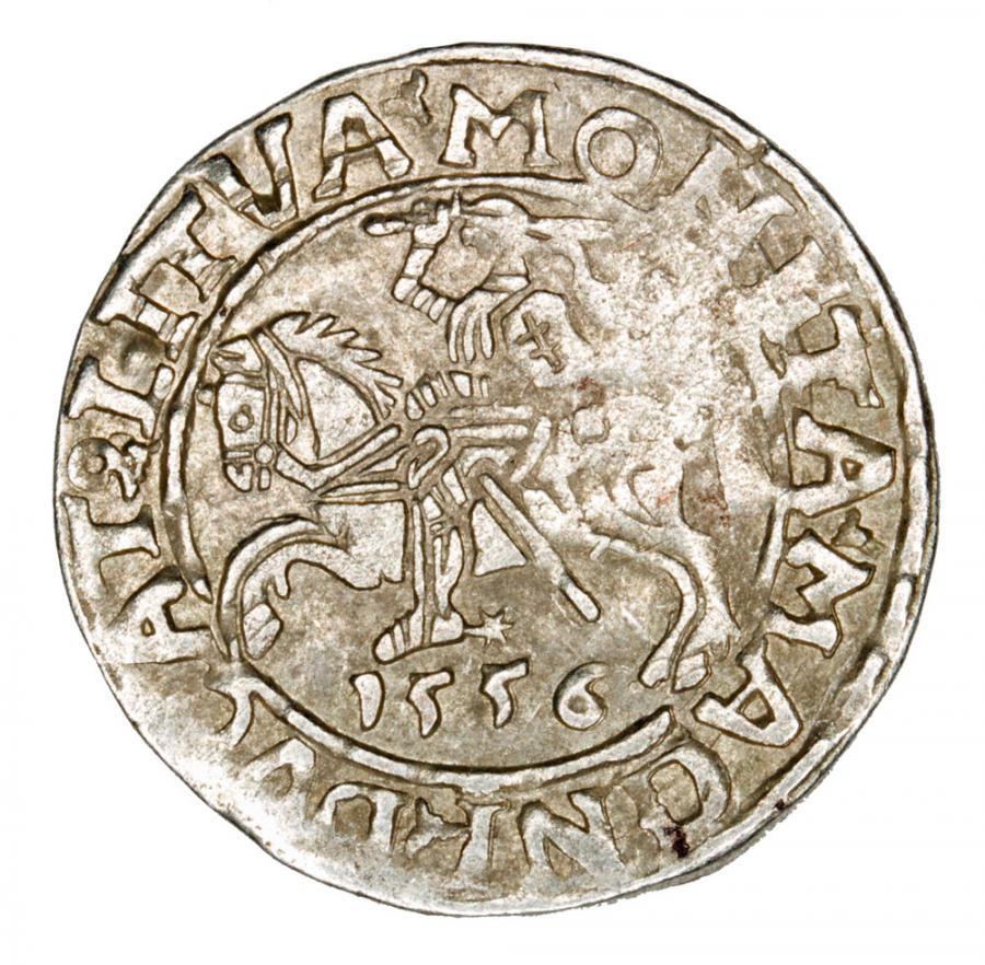 Półgrosz 1556 Zygmunt II August Litwa Wilno