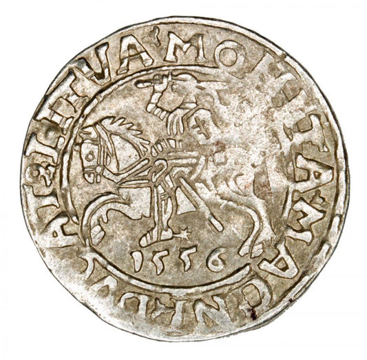 Półgrosz 1556 Zygmunt II August Litwa Wilno
