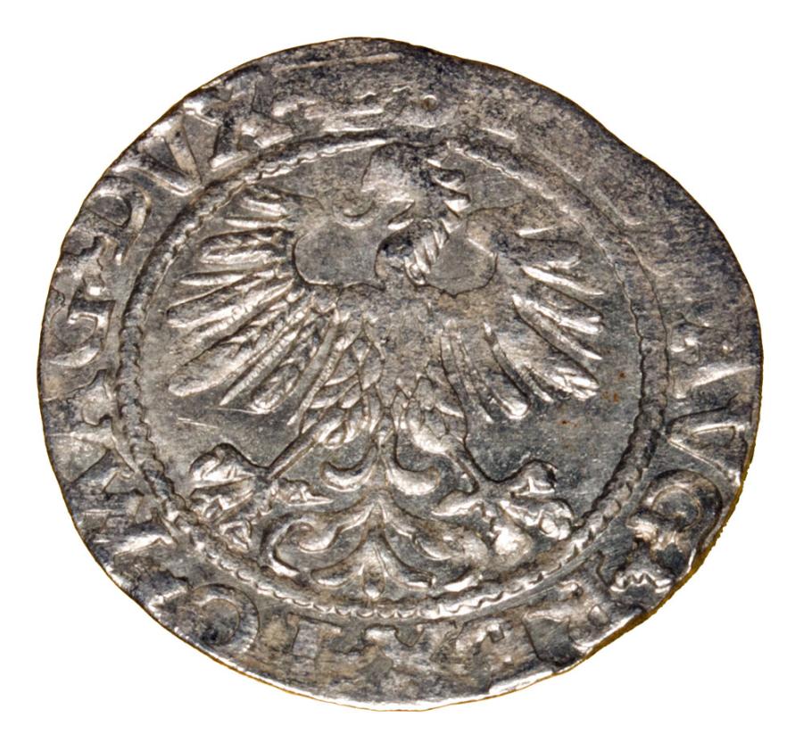 Półgrosz 1560 Zygmunt II August Litwa Wilno