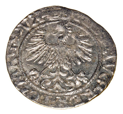 Półgrosz 1560 Zygmunt II August Litwa Wilno