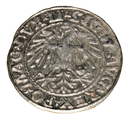 Półgrosz 1548 Zygmunt II August Wilno