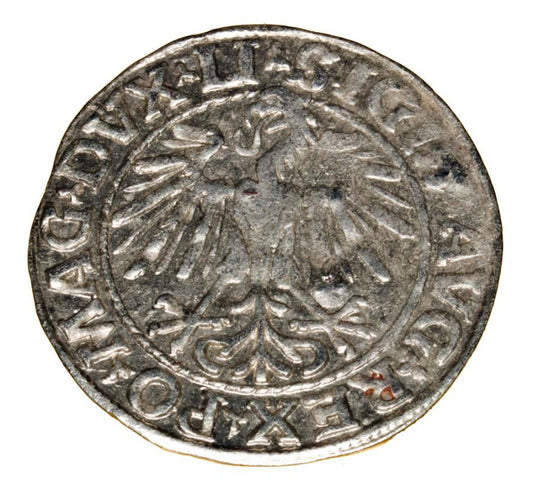 Półgrosz 1548 Zygmunt II August Wilno