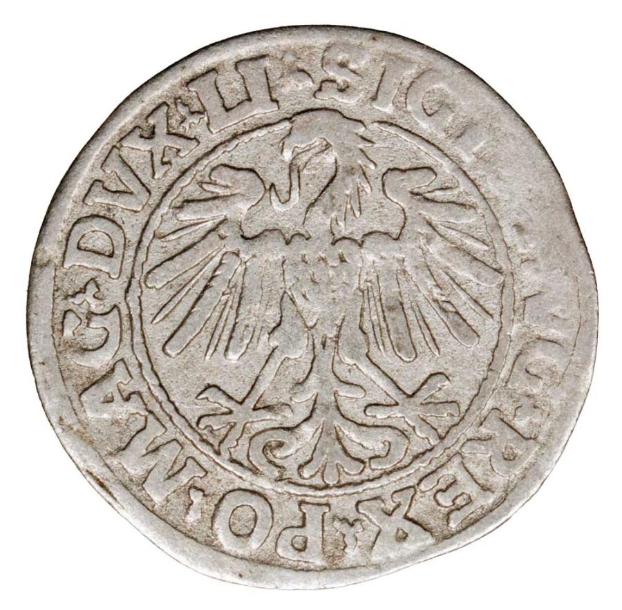 Półgrosz 1547 Zygmunt II August Litwa Wilno
