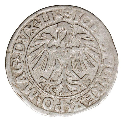 Półgrosz 1547 Zygmunt II August Litwa Wilno