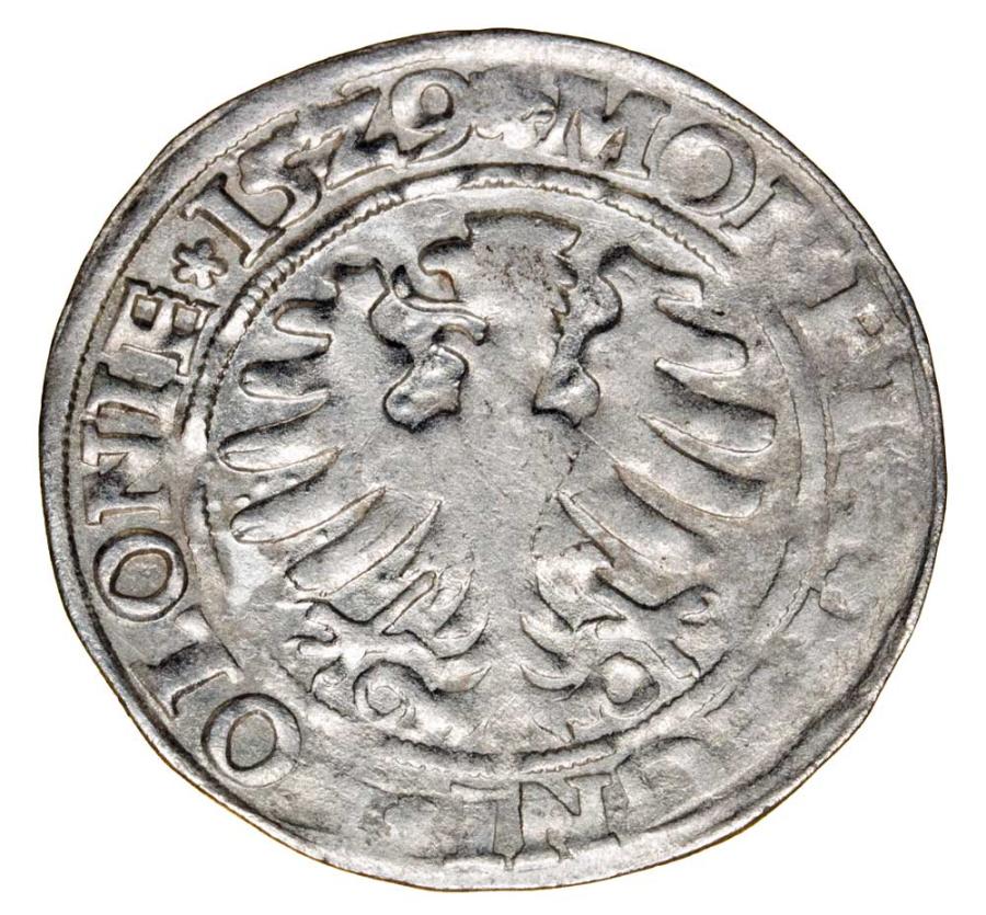 Grosz 1529 Zygmunt I Stary Polska Kraków