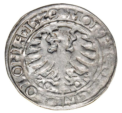 Grosz 1529 Zygmunt I Stary Polska Kraków