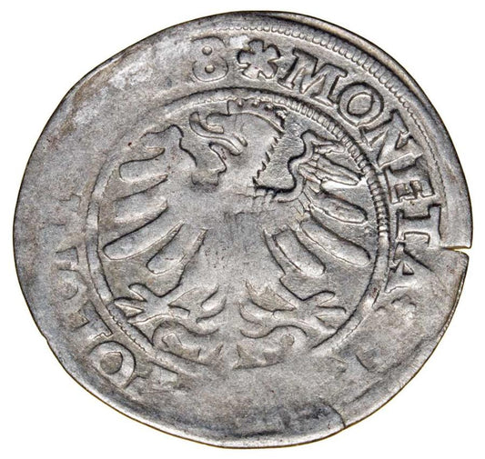 Grosz 1528 Zygmunt I Stary Polska Kraków