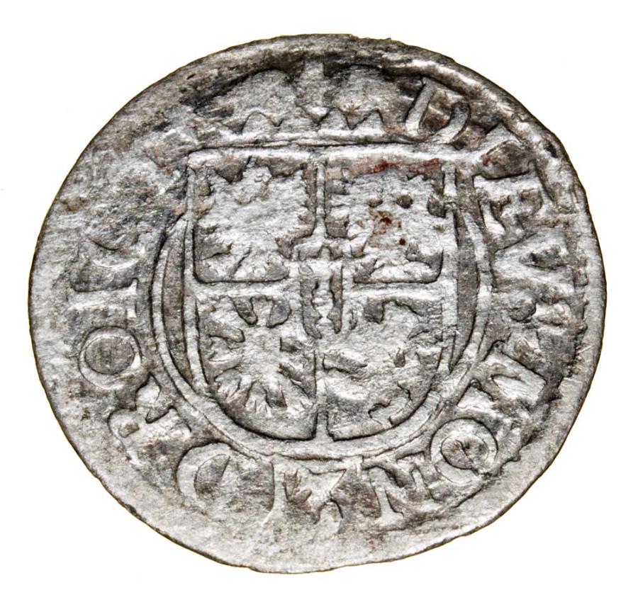 Szeląg 1623 Jerzy Wilhelm Księstwo Pruskie Królewiec