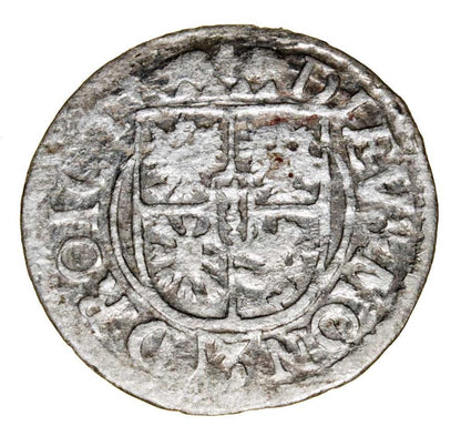 Szeląg 1623 Jerzy Wilhelm Księstwo Pruskie Królewiec